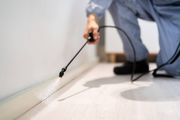 Licensed Cockroach Control service in Lake Clarke Shores, FL - Nex Pest Control