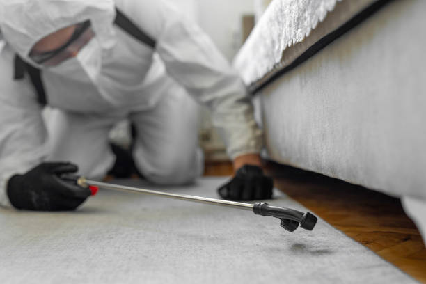 Professional Cockroach Control technician working in Lake Clarke Shores, FL