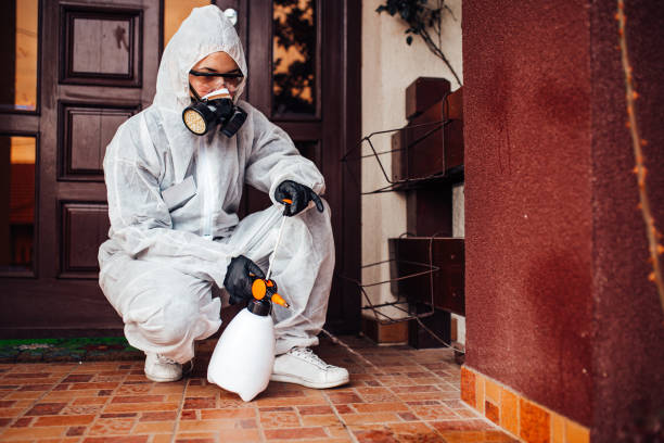 Reliable Cockroach Control contractor in Lake Clarke Shores, FL by Nex Pest Control