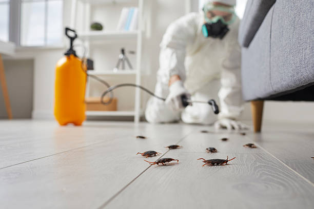 Affordable Cockroach Control solutions in Lake Clarke Shores, FL